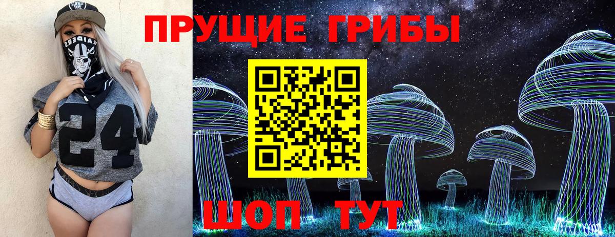 Галлюциногенные грибы мицелий Белая Калитва